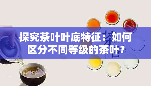 探究茶叶叶底特征：如何区分不同等级的茶叶？