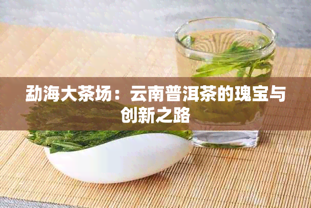 勐海大茶场：云南普洱茶的瑰宝与创新之路