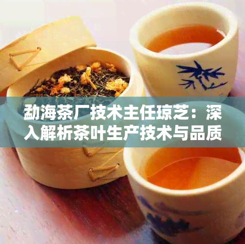 勐海茶厂技术主任琼芝：深入解析茶叶生产技术与品质保障之道