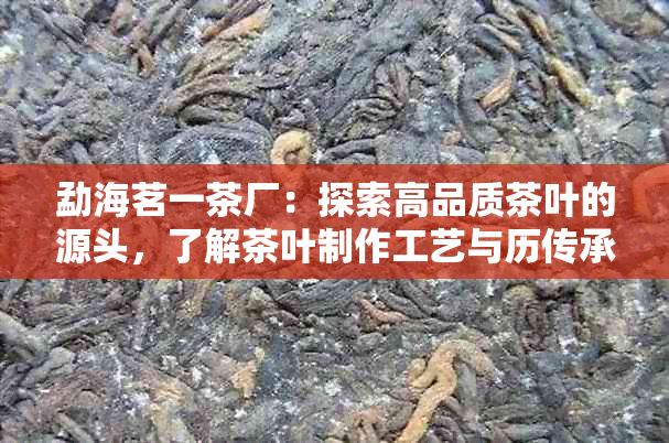 勐海茗一茶厂：探索高品质茶叶的源头，了解茶叶制作工艺与历传承