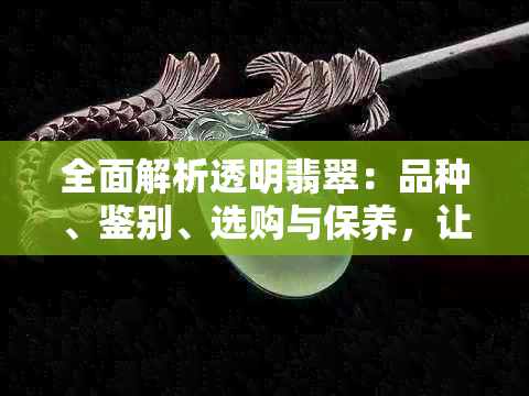 全面解析透明翡翠：品种、鉴别、选购与保养，让你轻松掌握翡翠知识！