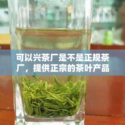 可以兴茶厂是不是正规茶厂，提供正宗的茶叶产品和专业的服务。