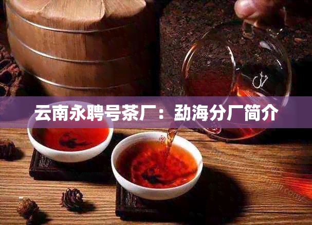 云南永聘号茶厂：勐海分厂简介