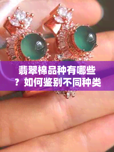 翡翠棉品种有哪些？如何鉴别不同种类的翡翠棉？