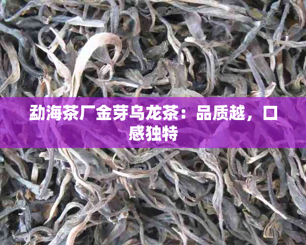 勐海茶厂金芽乌龙茶：品质越，口感独特