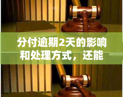 分付逾期2天的影响和处理方式，还能否继续使用？