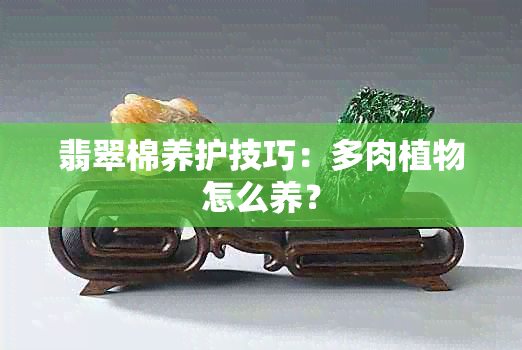 翡翠棉养护技巧：多肉植物怎么养？