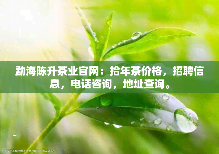 勐海陈升茶业官网：拾年茶价格，招聘信息，电话咨询，地址查询。