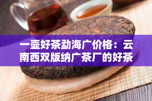 一壶好茶勐海广价格：云南西双版纳广茶厂的好茶品质与口感如何？