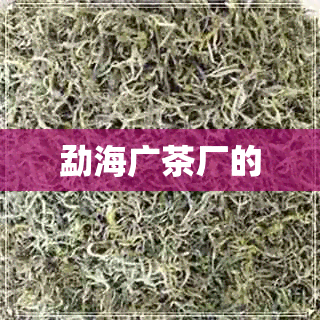 勐海广茶厂的