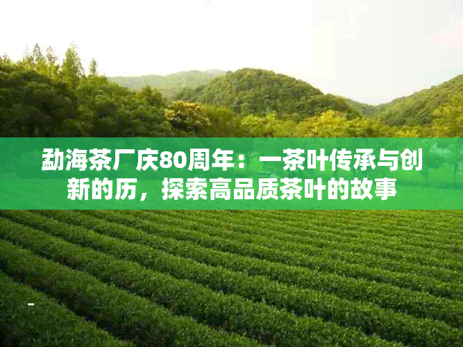 勐海茶厂庆80周年：一茶叶传承与创新的历，探索高品质茶叶的故事