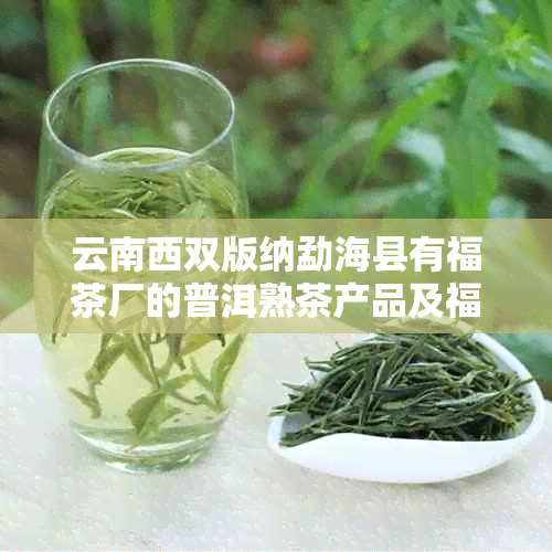 云南西双版纳勐海县有福茶厂的普洱熟茶产品及福海茶厂信息