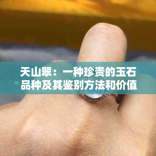 天山翠：一种珍贵的玉石品种及其鉴别方法和价值解析