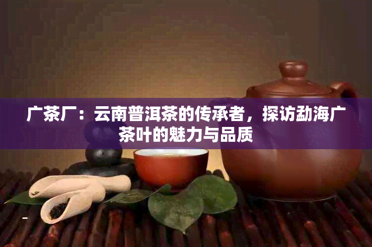 广茶厂：云南普洱茶的传承者，探访勐海广茶叶的魅力与品质