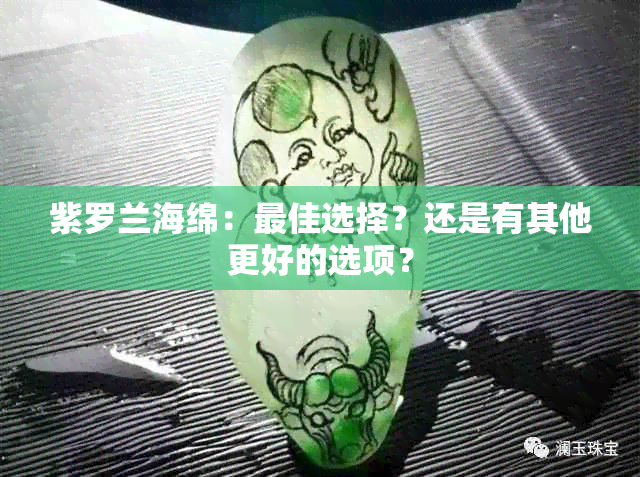 紫罗兰海绵：更佳选择？还是有其他更好的选项？