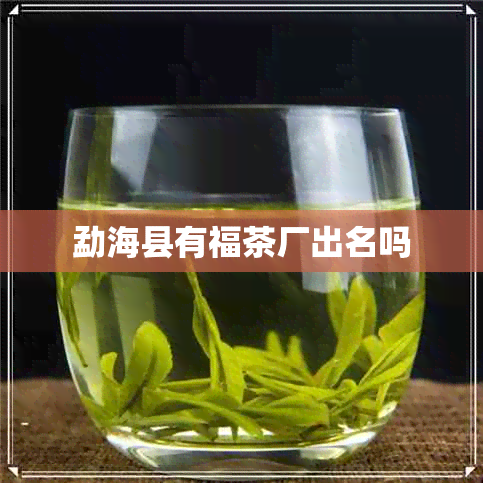 勐海县有福茶厂出名吗