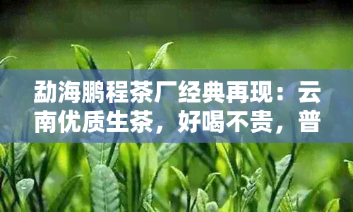 勐海鹏程茶厂经典再现：云南优质生茶，好喝不贵，普洱王品味独特。