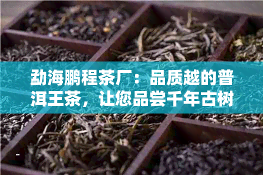 勐海鹏程茶厂：品质越的普洱王茶，让您品尝千年古树的独特韵味