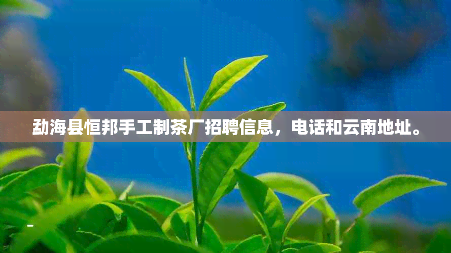 勐海县恒邦手工制茶厂招聘信息，电话和云南地址。