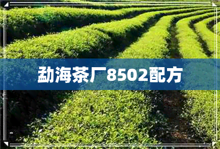 勐海茶厂8502配方