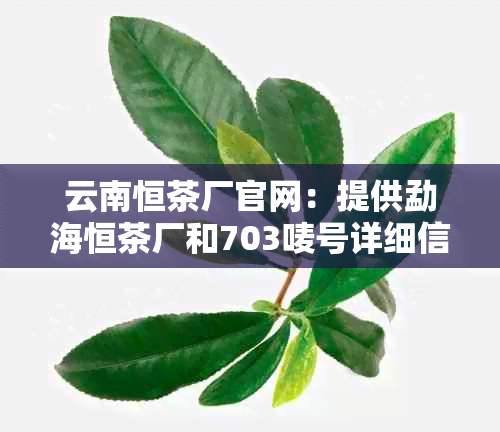 云南恒茶厂官网：提供勐海恒茶厂和703唛号详细信息。