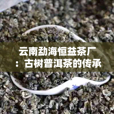 云南勐海恒益茶厂：古树普洱茶的传承者与创新者