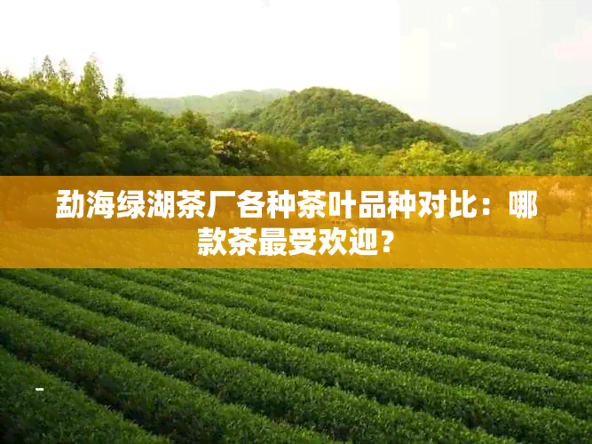 勐海绿湖茶厂各种茶叶品种对比：哪款茶更受欢迎？