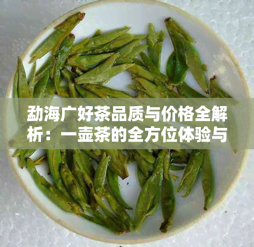 勐海广好茶品质与价格全解析：一壶茶的全方位体验与选择