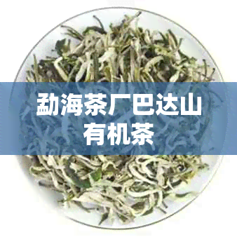 勐海茶厂巴达山有机茶