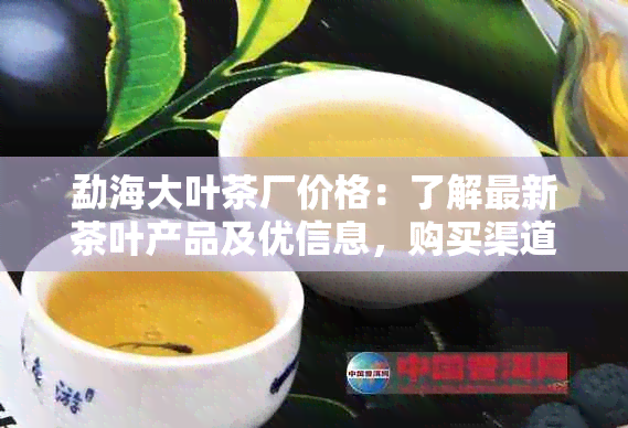 勐海大叶茶厂价格：了解最新茶叶产品及优信息，购买渠道和质量保证全解析