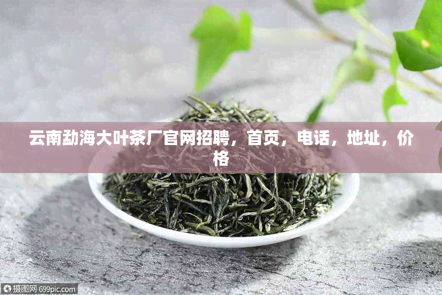 云南勐海大叶茶厂官网招聘，首页，电话，地址，价格