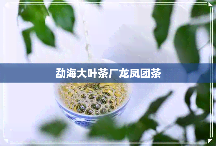 勐海大叶茶厂龙凤团茶