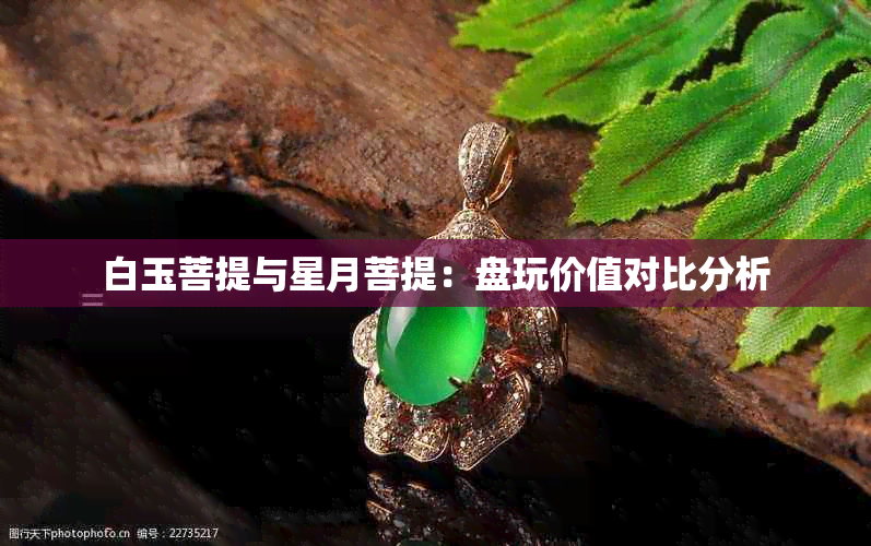 白玉菩提与星月菩提：盘玩价值对比分析