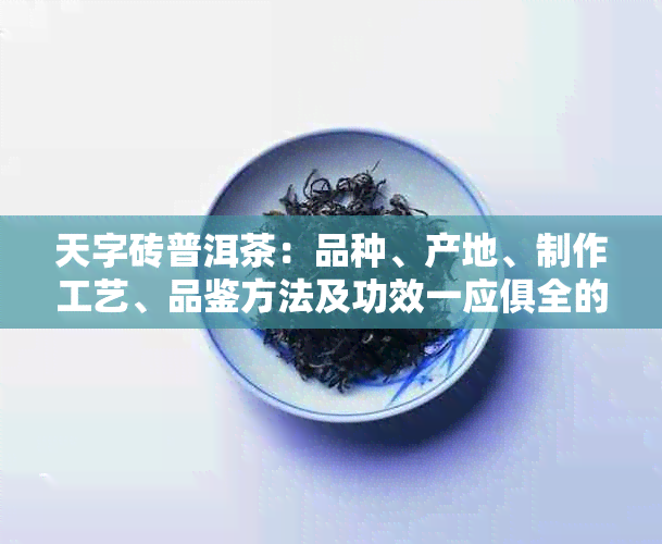 天字砖普洱茶：品种、产地、制作工艺、品鉴方法及功效一应俱全的全面解读