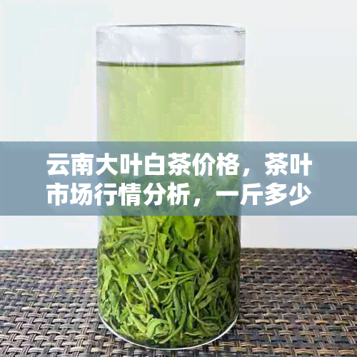 云南大叶白茶价格，茶叶市场行情分析，一斤多少钱？