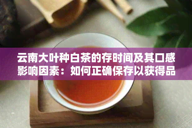 云南大叶种白茶的存时间及其口感影响因素：如何正确保存以获得品质？