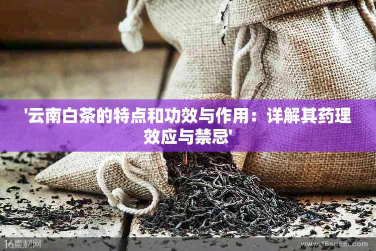 '云南白茶的特点和功效与作用：详解其理效应与禁忌'