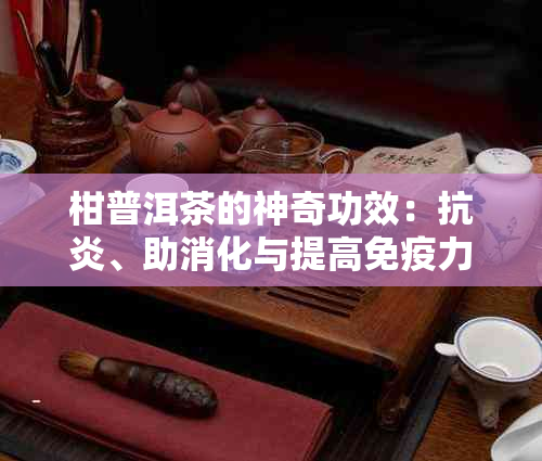 柑普洱茶的神奇功效：抗炎、助消化与提高免疫力的秘密解析