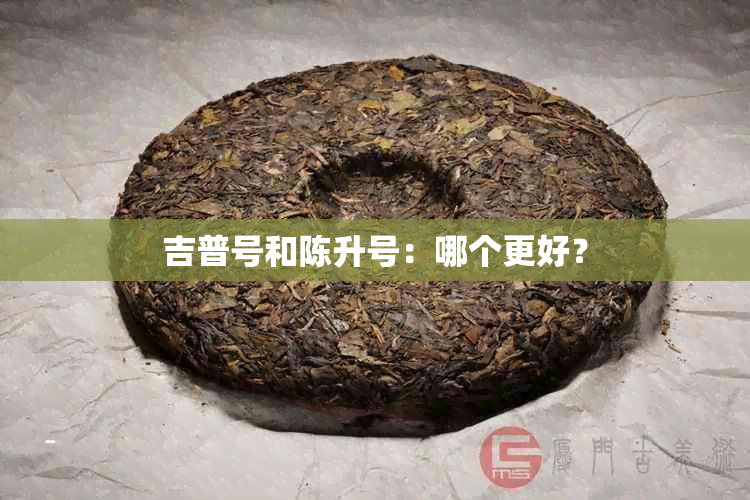 吉普号和陈升号：哪个更好？