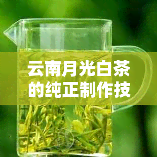 云南月光白茶的纯正制作技艺：原生态古法与现代科技的完美结合