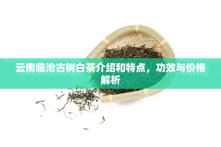 云南临沧古树白茶介绍和特点，功效与价格解析