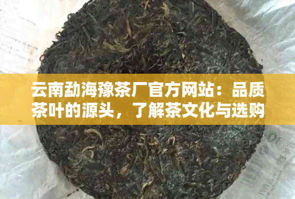 云南勐海豫茶厂官方网站：品质茶叶的源头，了解茶文化与选购指南