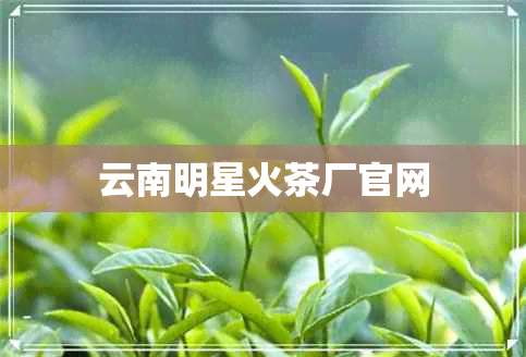 云南明星火茶厂官网