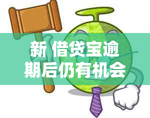 新 借贷宝逾期后仍有机会借款吗？了解逾期还款的影响和解决方案