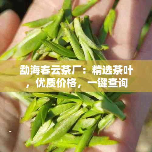 勐海春云茶厂：精选茶叶，优质价格，一键查询