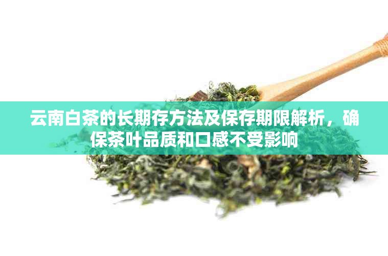 云南白茶的长期存方法及保存期限解析，确保茶叶品质和口感不受影响