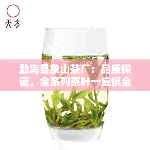 勐海县象山茶厂：品质保证，全系列茶叶一应俱全，让您品味真正的云南普洱茶