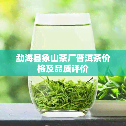 勐海县象山茶厂普洱茶价格及品质评价