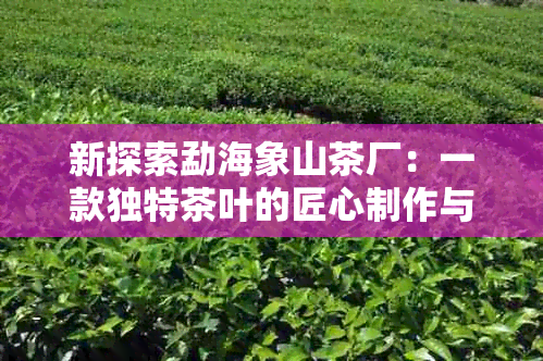 新探索勐海象山茶厂：一款独特茶叶的匠心制作与品质保障