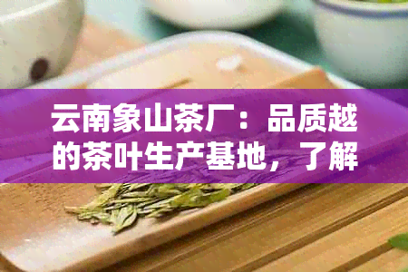 云南象山茶厂：品质越的茶叶生产基地，了解生产工艺与茶叶品种